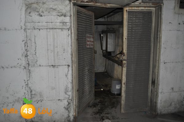 fireinludwnds313 (7).JPG